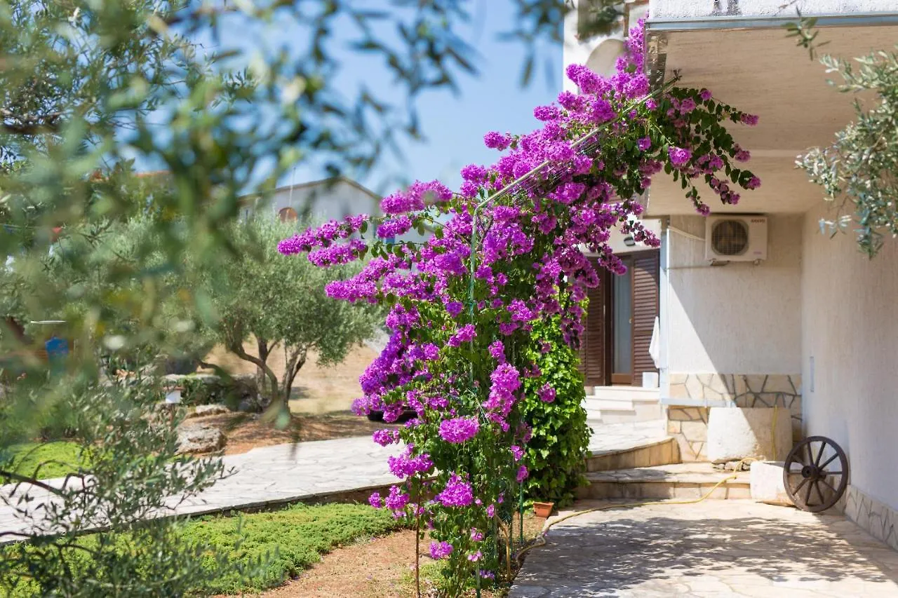 Apartments Rita Krk Town 0*,  Croatia